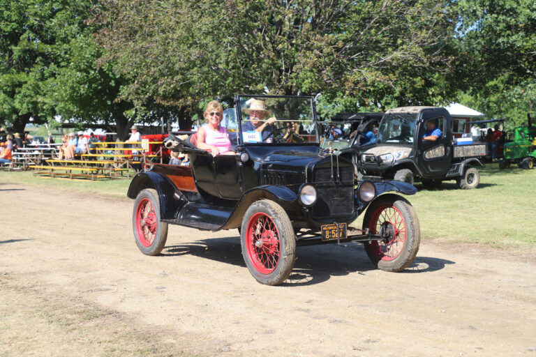 Cars-and-Trucks_1482