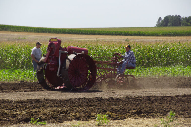 Field-Activities_02408