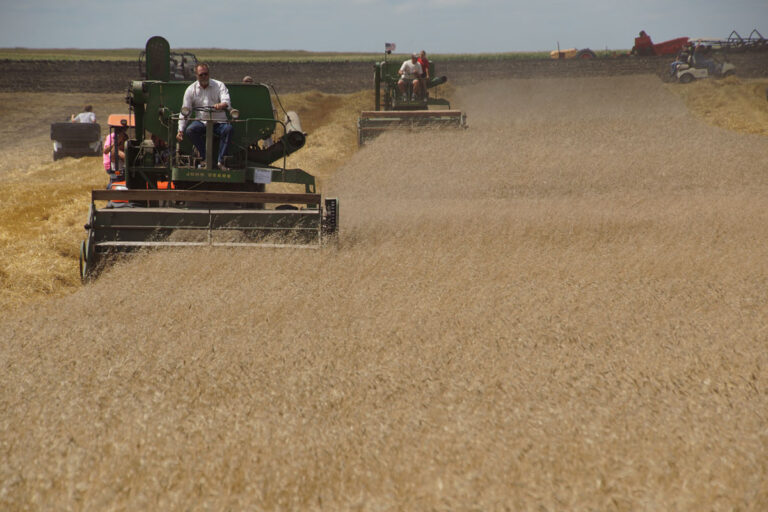 Field-Activities_02541