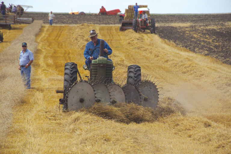 Field-Activities_02557