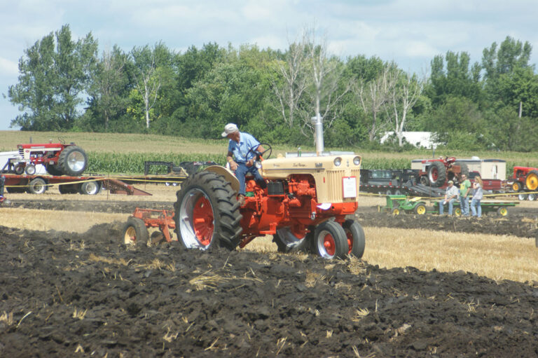 Field-Activities_02558