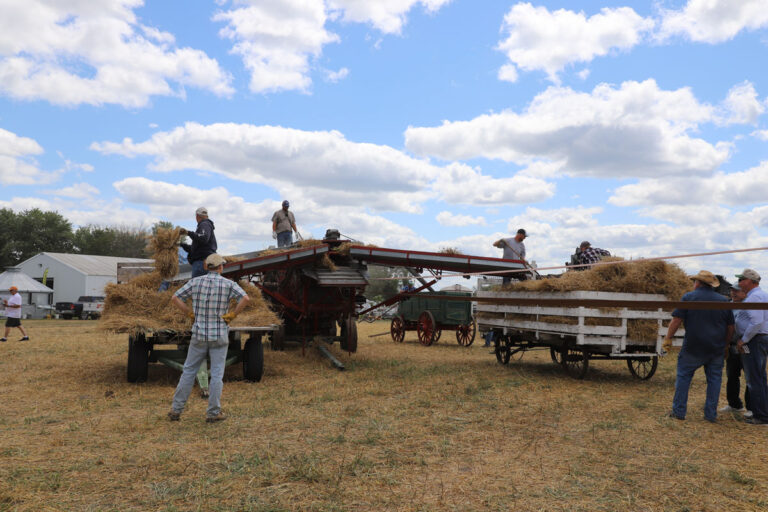 Field-Activities_1669