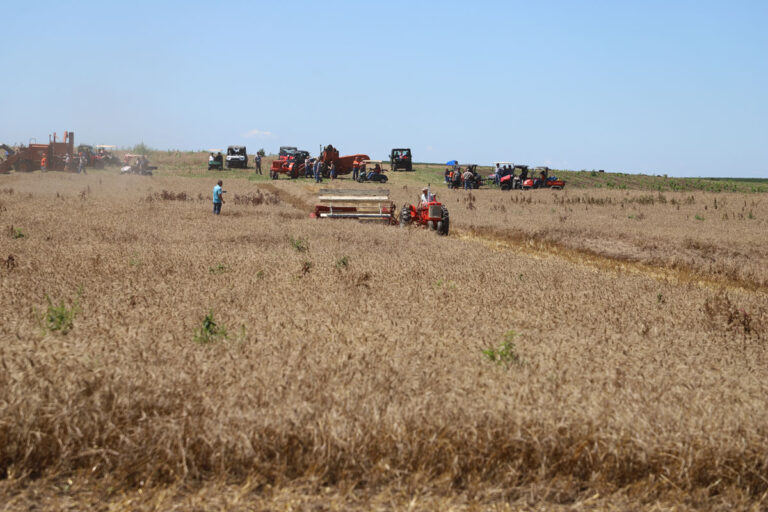 Field-Activities_2586