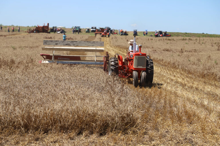 Field-Activities_2605
