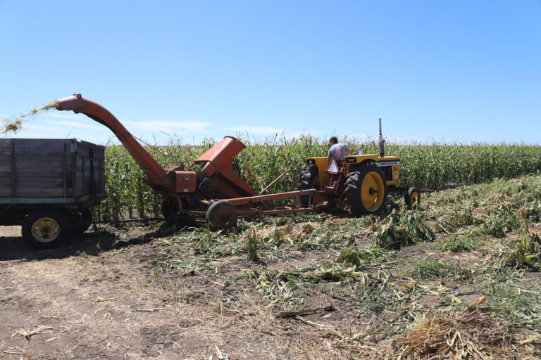 IField-Activities_2533